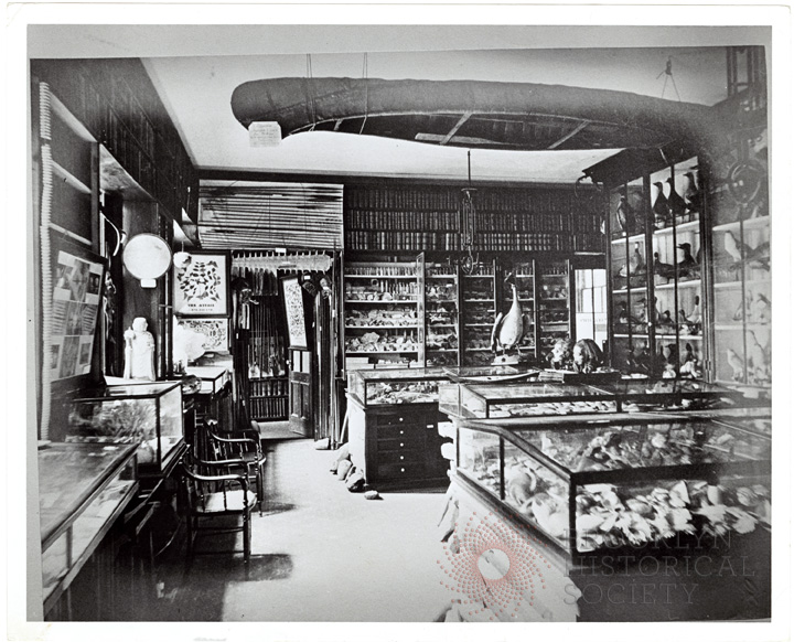 The Long Island Historical Society's earliest collections in the 1860s